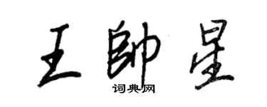 王正良王帅星行书个性签名怎么写