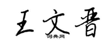 王正良王文晋行书个性签名怎么写