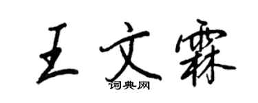 王正良王文霖行书个性签名怎么写