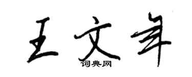 王正良王文年行书个性签名怎么写