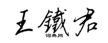 王正良王铁君行书个性签名怎么写