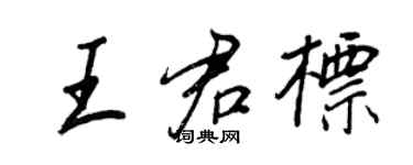王正良王君标行书个性签名怎么写