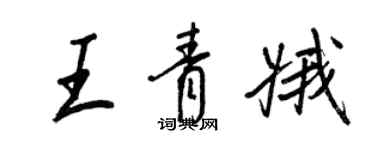 王正良王青娥行书个性签名怎么写