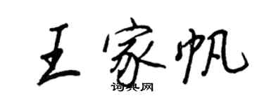 王正良王家帆行书个性签名怎么写