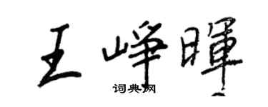 王正良王峥晖行书个性签名怎么写