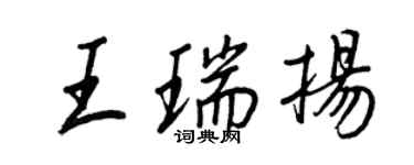 王正良王瑞扬行书个性签名怎么写