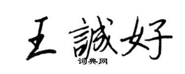 王正良王诚好行书个性签名怎么写