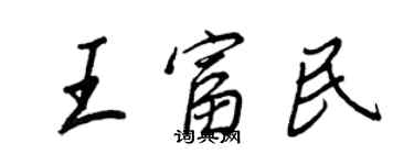 王正良王富民行书个性签名怎么写
