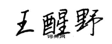 王正良王醒野行书个性签名怎么写