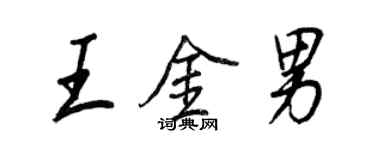王正良王金男行书个性签名怎么写