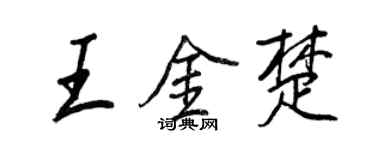王正良王金楚行书个性签名怎么写