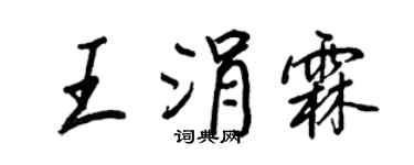 王正良王涓霖行书个性签名怎么写