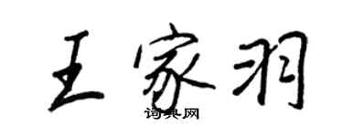 王正良王家羽行书个性签名怎么写