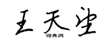王正良王天望行书个性签名怎么写