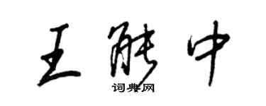 王正良王能中行书个性签名怎么写
