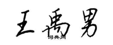 王正良王禹男行书个性签名怎么写