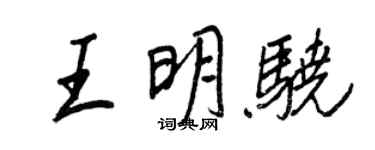 王正良王明骁行书个性签名怎么写
