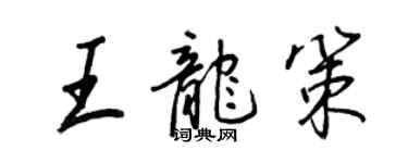 王正良王龙策行书个性签名怎么写