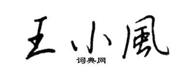 王正良王小风行书个性签名怎么写