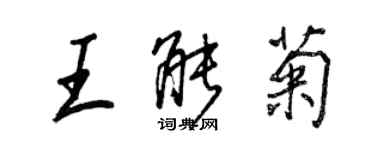 王正良王能菊行书个性签名怎么写