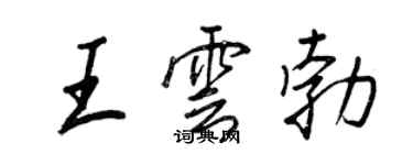 王正良王云勃行书个性签名怎么写