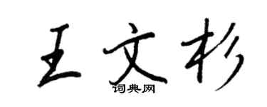 王正良王文杉行书个性签名怎么写