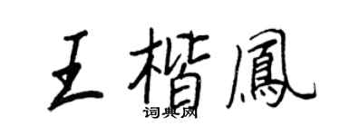 王正良王楷凤行书个性签名怎么写