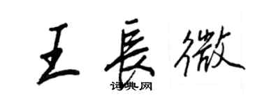 王正良王长微行书个性签名怎么写