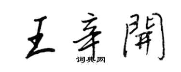 王正良王辛开行书个性签名怎么写