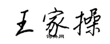 王正良王家操行书个性签名怎么写