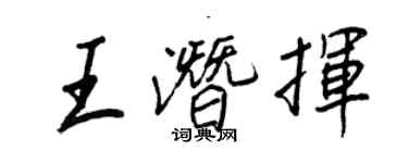 王正良王潜挥行书个性签名怎么写