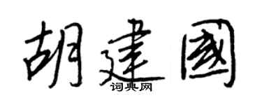 王正良胡建国行书个性签名怎么写