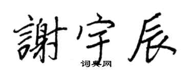 王正良谢宇辰行书个性签名怎么写