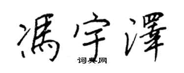 王正良冯宇泽行书个性签名怎么写