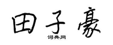 王正良田子豪行书个性签名怎么写