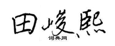 王正良田峻熙行书个性签名怎么写