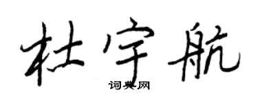 王正良杜宇航行书个性签名怎么写