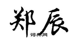 胡问遂郑辰行书个性签名怎么写