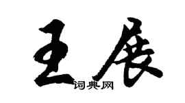 胡问遂王展行书个性签名怎么写