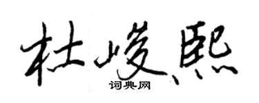 王正良杜峻熙行书个性签名怎么写