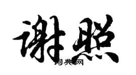 胡问遂谢照行书个性签名怎么写