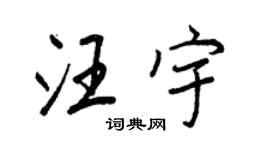 王正良汪宇行书个性签名怎么写