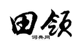 胡问遂田领行书个性签名怎么写