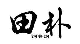 胡问遂田朴行书个性签名怎么写