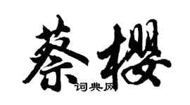 胡问遂蔡樱行书个性签名怎么写