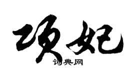 胡问遂项妃行书个性签名怎么写