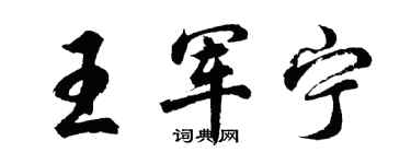 胡问遂王军宁行书个性签名怎么写