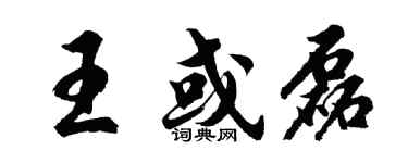 胡问遂王或磊行书个性签名怎么写