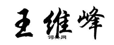 胡问遂王维峰行书个性签名怎么写