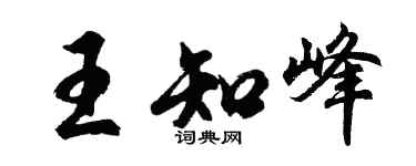 胡问遂王知峰行书个性签名怎么写